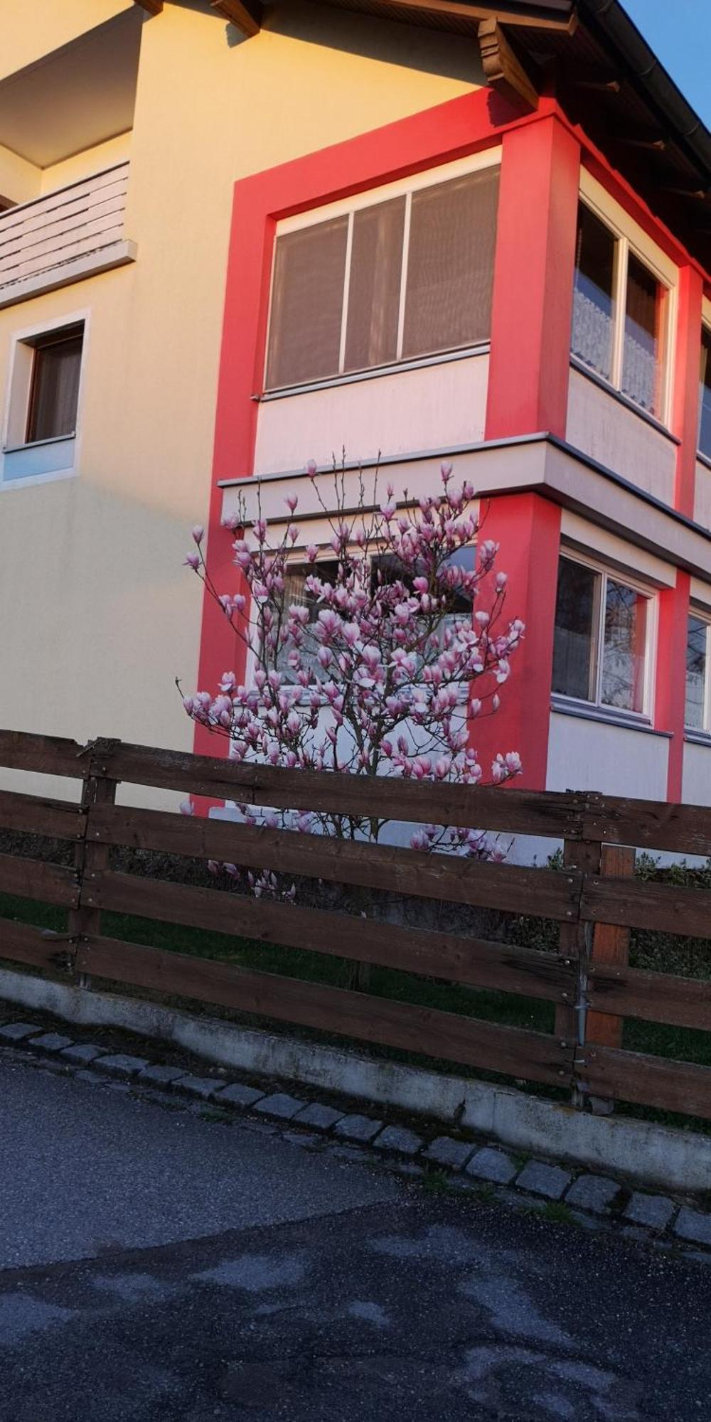 Vermietung Gisl Wiesent Exterior photo